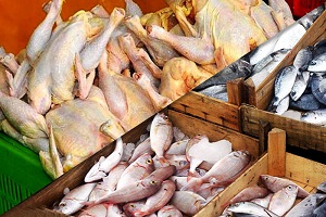 لیست شماره فروشندگان مرغ و ماهی