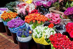لیست گل فروشی های تهران